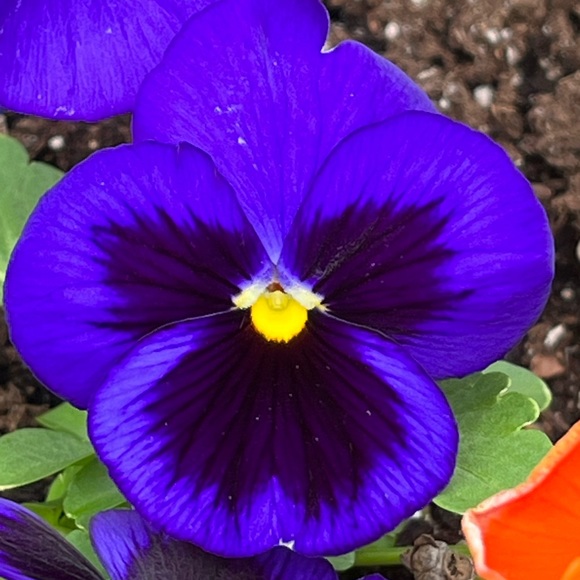 We’ll Soon Be Welcoming Summer 2024! 🦋🌸🌞 🛍️ 💫✨🎉 - Picture 7 of 16